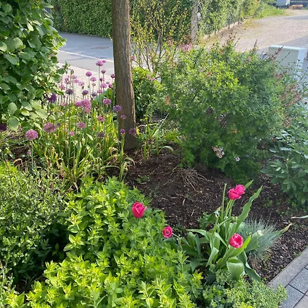 Atrium Garni Отель Херцогенаурах